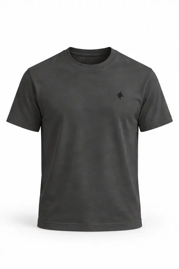 Camiseta essencial Laurent Richard, grafite, produto isolado